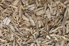 biomass boilers Trewetha